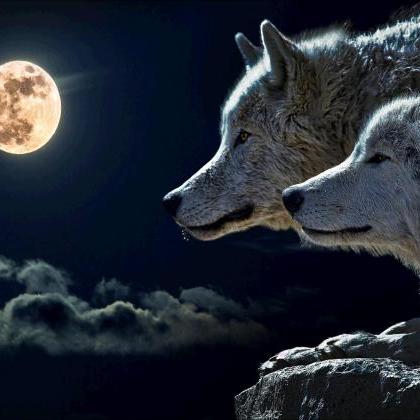5d Diy Diamond Painting Animal Wolves And Moon..