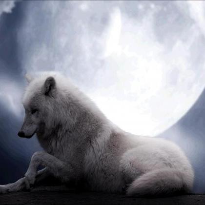 5d Diy Diamond Painting Animal Wolf And Moon..